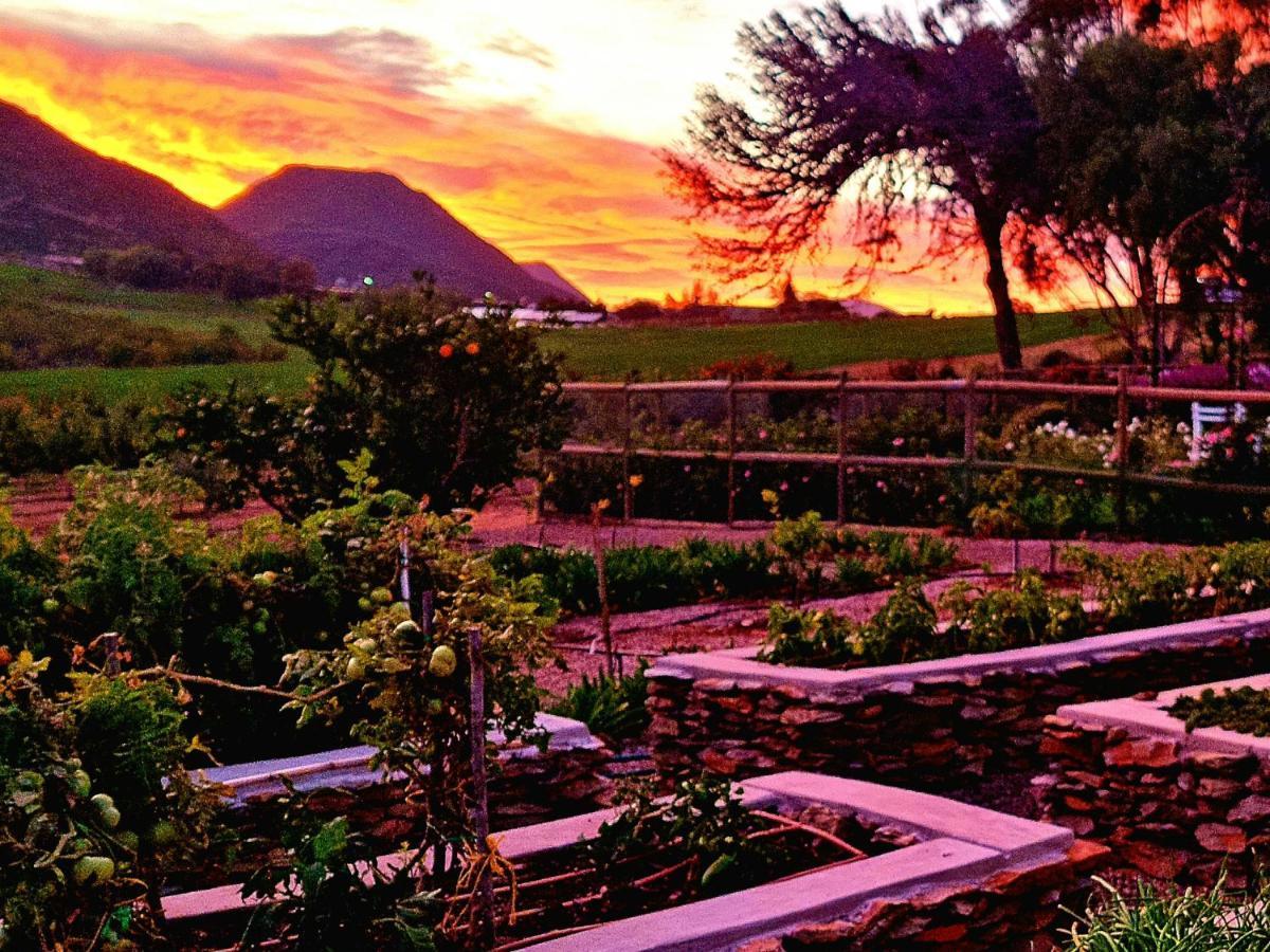 Pjure Boutique Hotel & Spa Montagu Extérieur photo