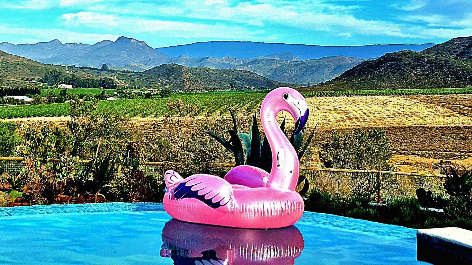 Pjure Boutique Hotel & Spa Montagu Extérieur photo
