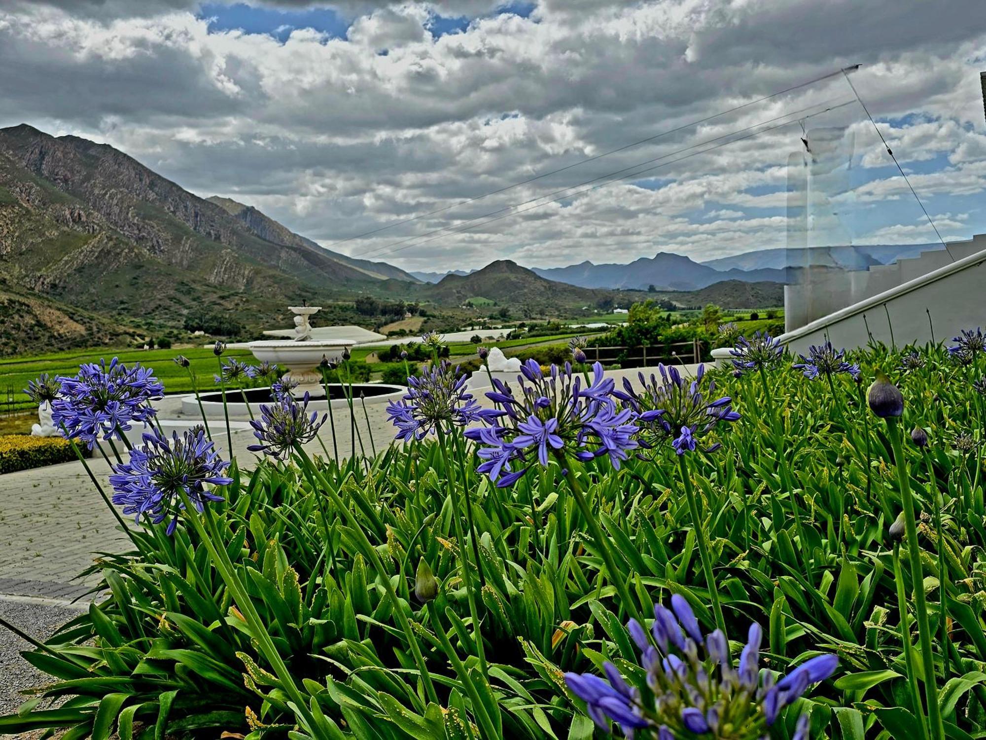 Pjure Boutique Hotel & Spa Montagu Extérieur photo