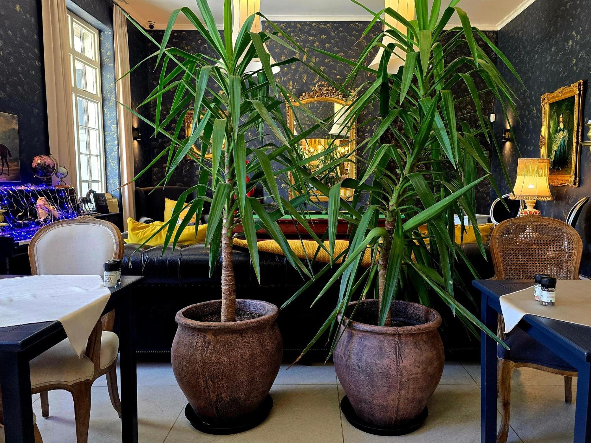 Pjure Boutique Hotel & Spa Montagu Extérieur photo